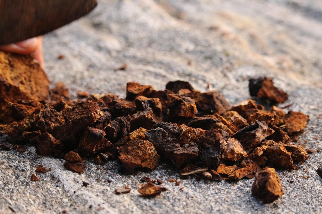 nature, dry, closeup, stone, food, chaga, mushroom, rock, canadian shield, quebec, forest, forage, light, sunset, raw, natural, fresh, clean, birch harvest, chaga harvest, chunks, summer, brown, organic, gatherer, gathered, tea, health, natural medicine, brown health, brown tea, brown medicine, brown clean, chaga, chaga, chaga, chaga, chaga