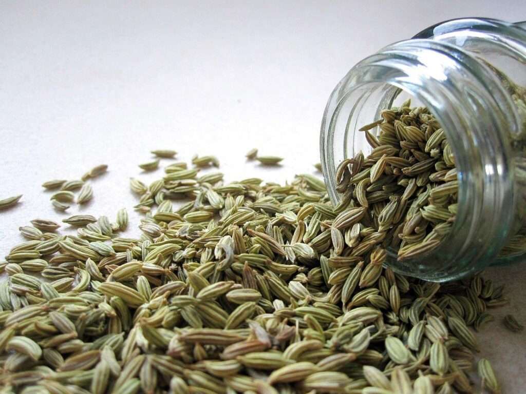 fennel, seeds, spice, spill, jar, glass, cooking, fennel, fennel, fennel, fennel, fennel