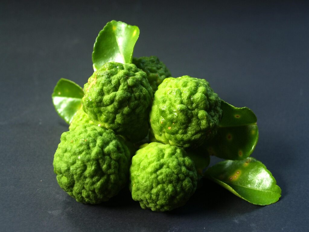 bergamot, fruit, leaf, nature, isolated, thailand, rough, lemon, natural, tropical, green, herbal, organic, lime, citrus, asia, vegetable, thai, hair, cuisine, kaffir, herb, ingredient, ancient, fresh, cooking, food, raw, bergamot, bergamot, bergamot, bergamot, bergamot