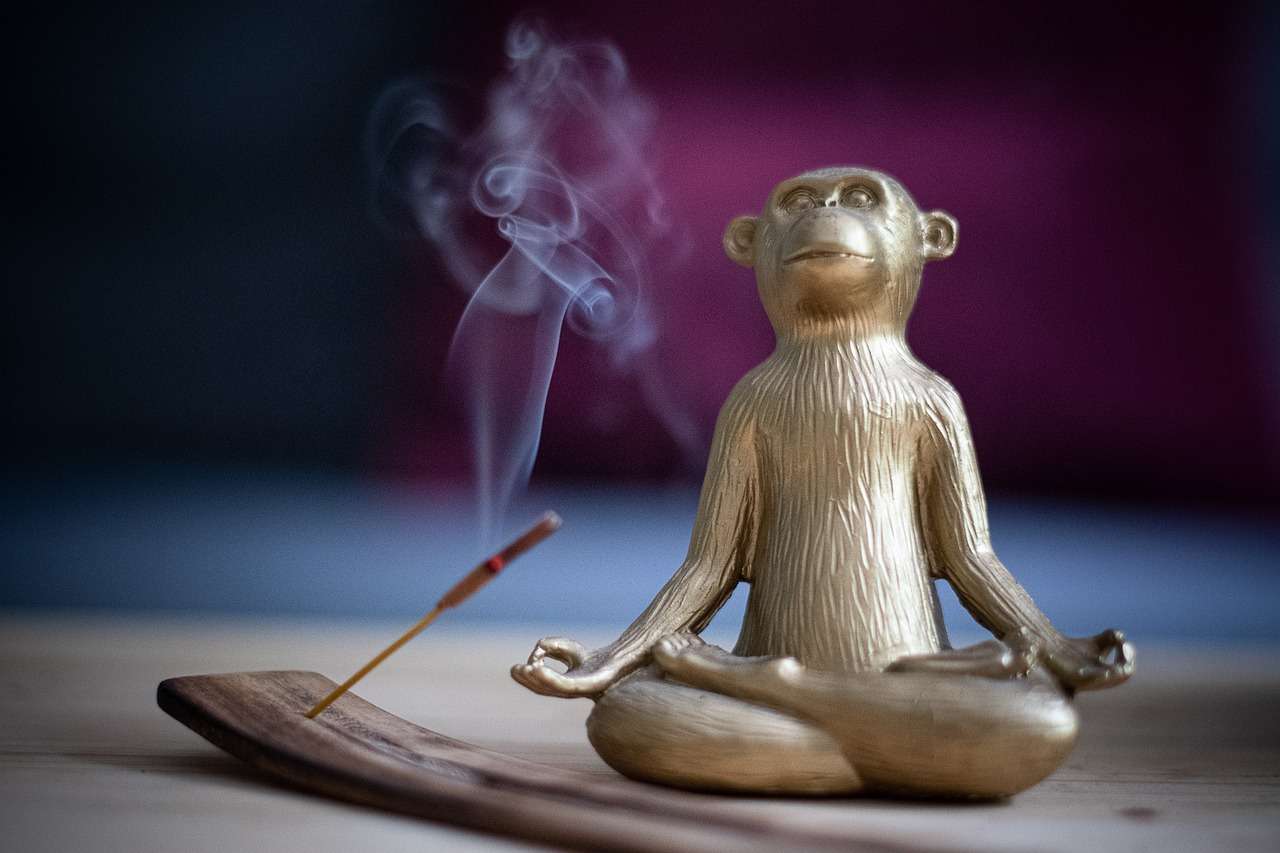 yoga, monkey, incense, meditation, decoration, gold, lotus position, ritual, spirituality, smoke, figurine, silence, fragrance, incense, incense, incense, incense, incense